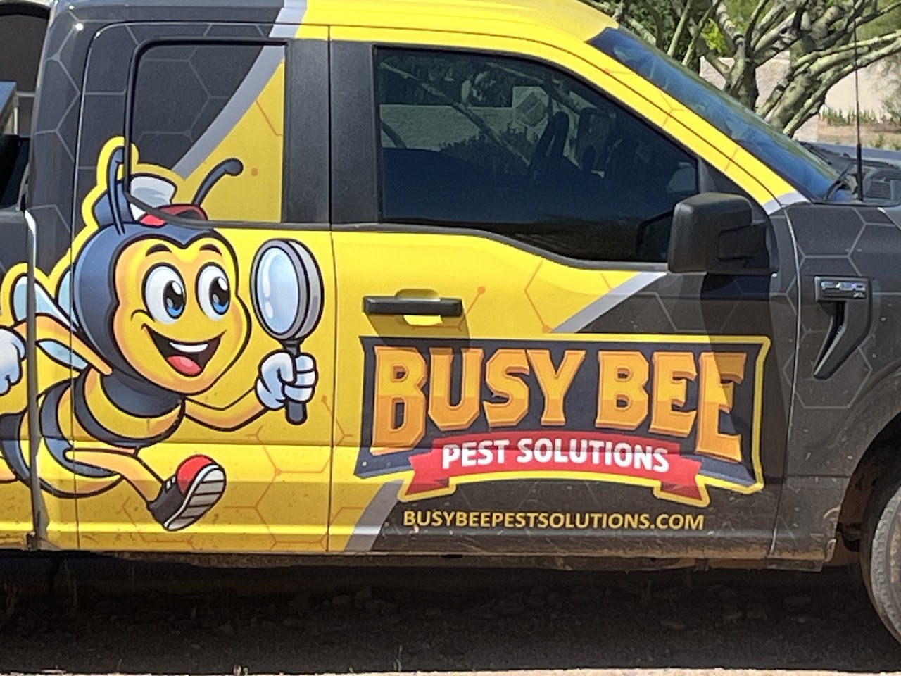 Busy Bee Pest Solutions project